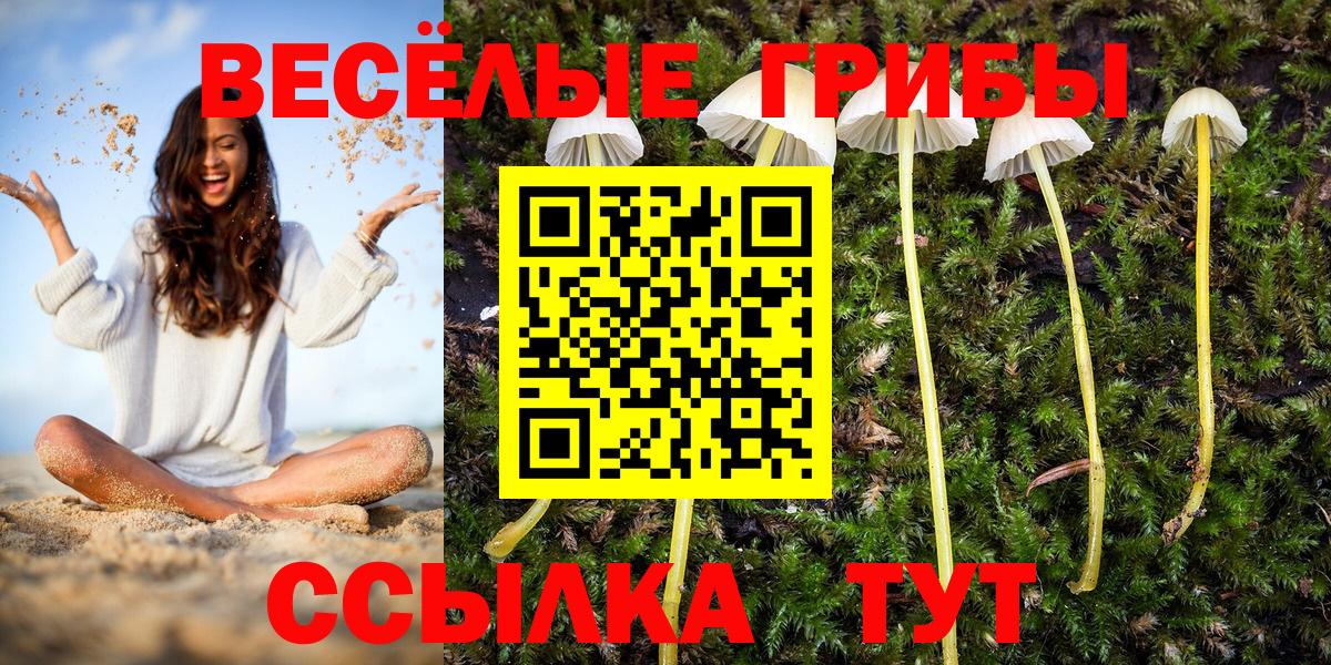 Новочеркасск  Псилоцибиновые грибы Cubensis  Вход с VPN  Псилоцибиновые грибы ЛСД 